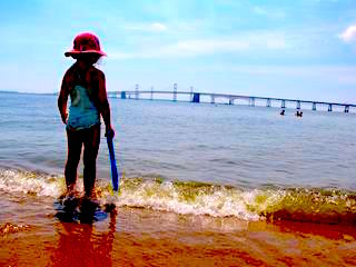 Heath Risk of Swimming in the Chesapeake Bay