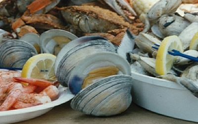 Chesapeake Bay Seafood: What Is Safe to Eat?