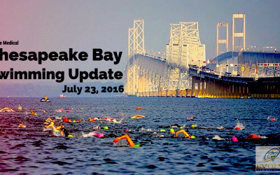 The Chesapeake Bay Swimming Update