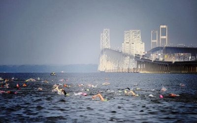 What’s in Annapolis’ Water? Risks of the Chesapeake Bay