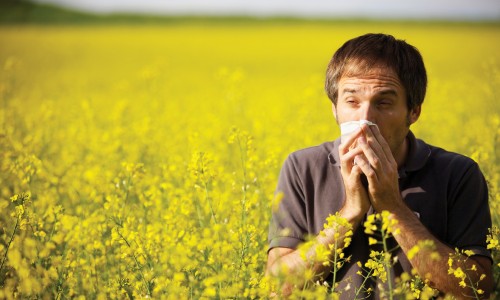 Annapolis Urgent Care Spotlight: Fall Allergy