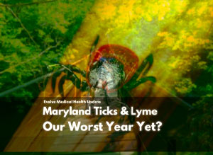 Maryland Ticks & Lyme: Our Worst Year Yet?