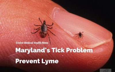 Maryland’s Tick Problem: Prevent Lyme